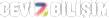 Web Yazılım